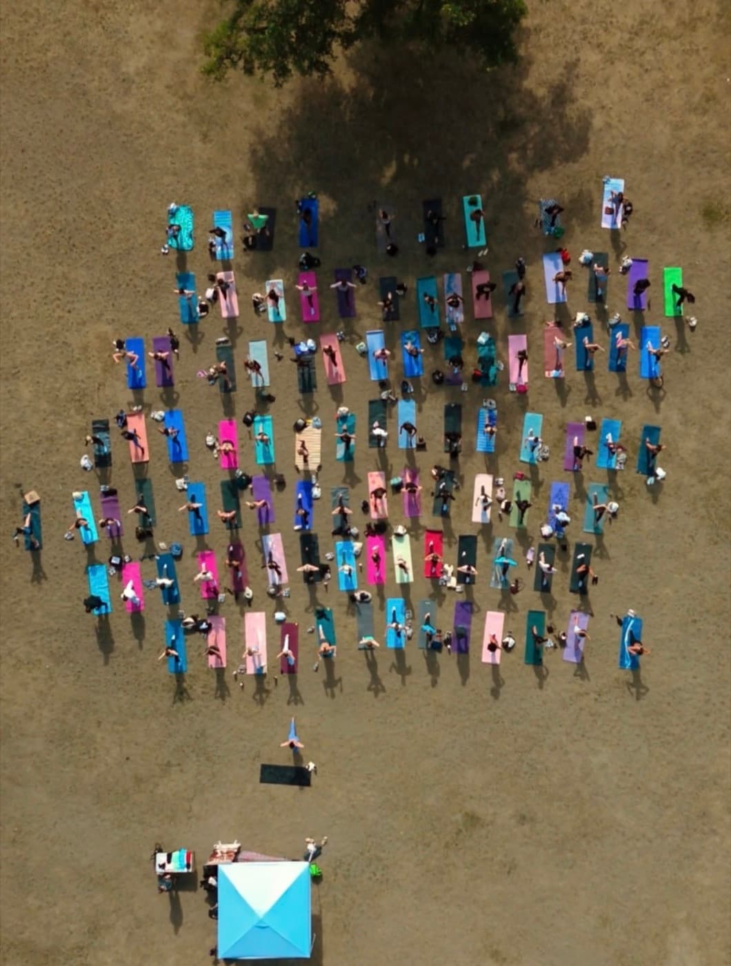 community